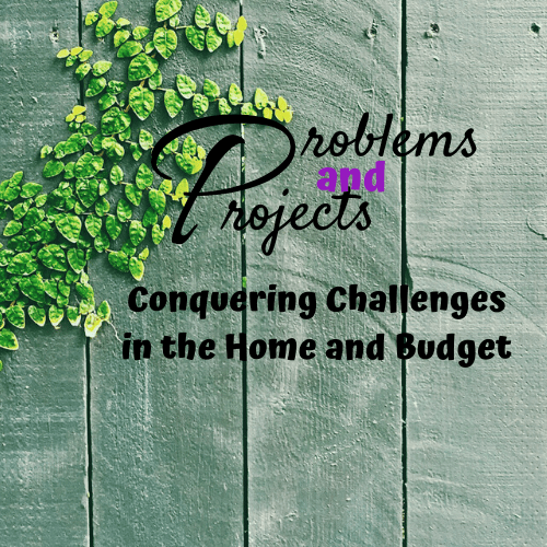 A wooden background with green climbing plants on the left side, overlaid with stylized text that reads "problems & projects - conquering challenges in the home and budget".