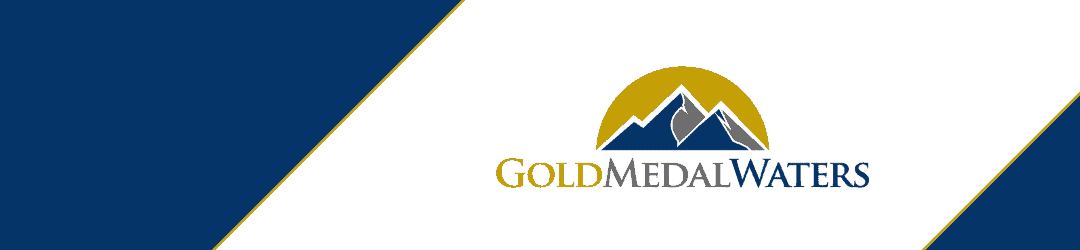 A sleek logo featuring the name 