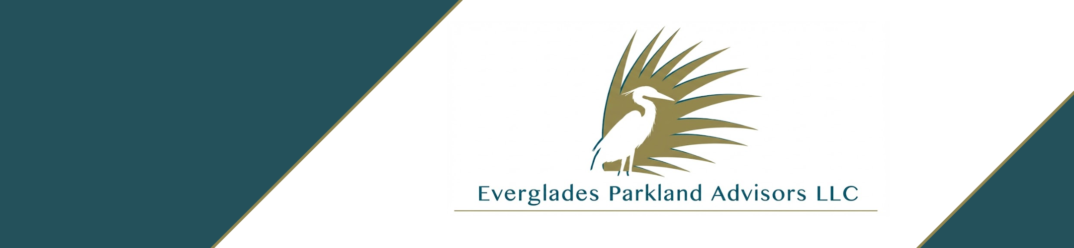 Logo of Everglades Parkland Advisors LLC featuring a white heron standing in front of stylized palm fronds, with the company name displayed below. The background has diagonal teal and white sections.