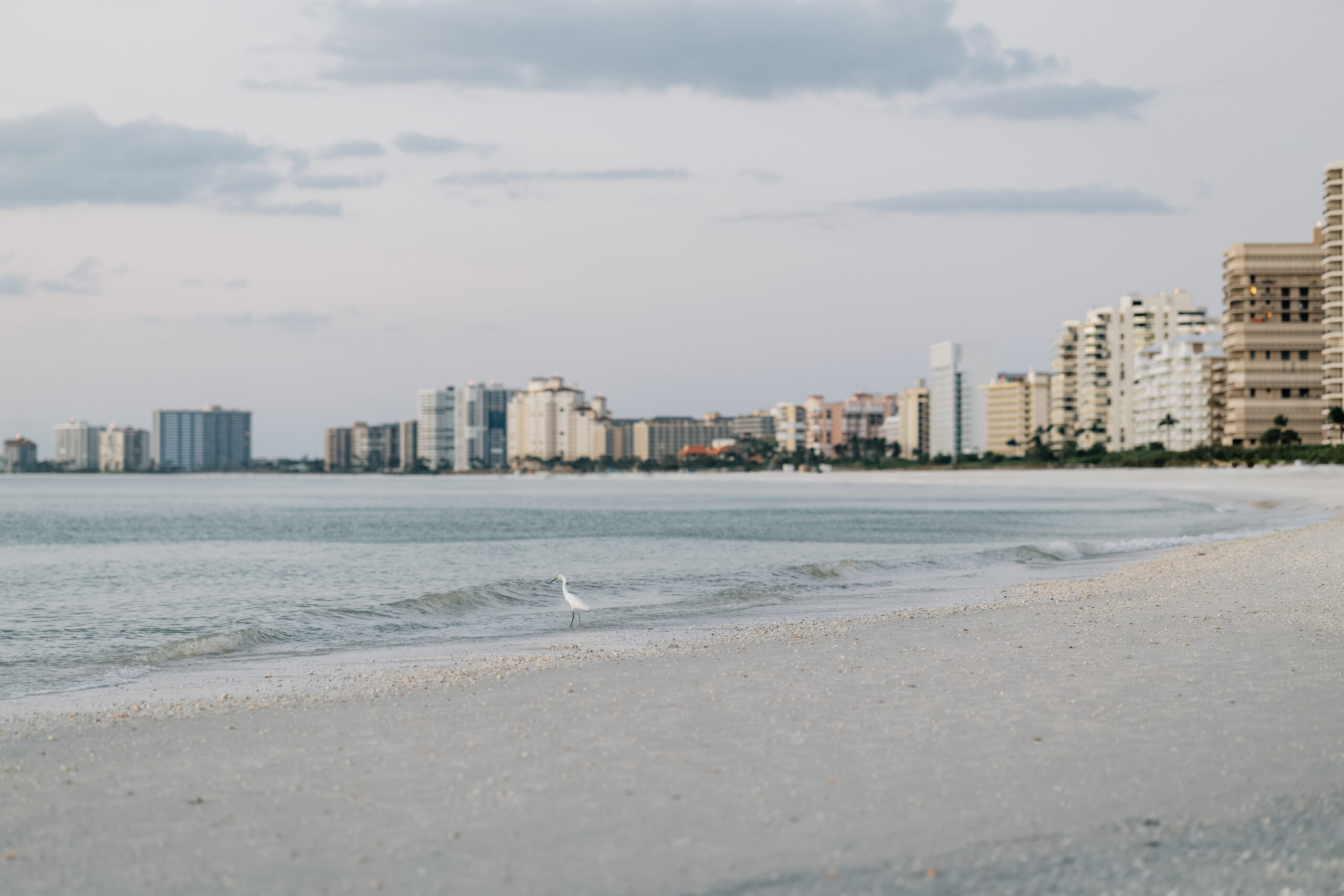 A quiet beach with gentle waves, a single white bird near the shoreline, and tall modern buildings lining the distant coast under a cloudy sky.